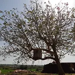 Trullo Della Rosa Nyaraló