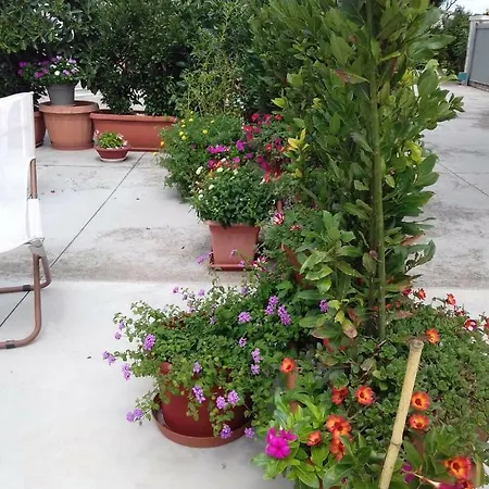 Trullo Della Rosa Martina Franca
