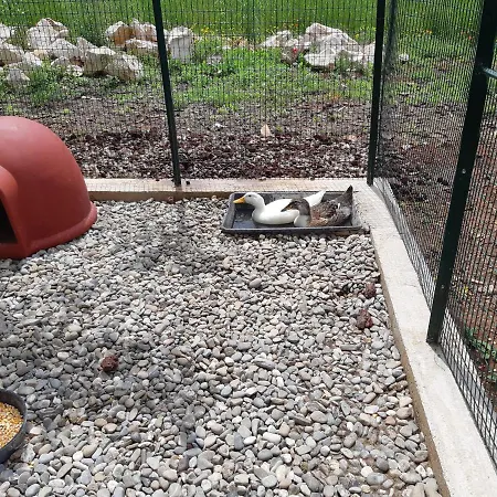 Trullo Della Rosa Σπίτι διακοπών Μαρτίνα Φράνκα