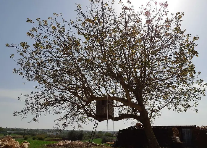 Trullo Della Rosa 펜션