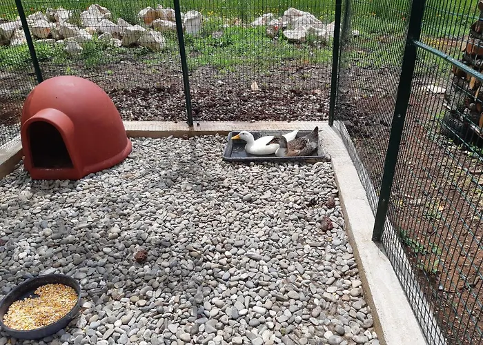 Trullo Della Rosa 펜션 마르티나프란카